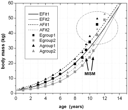 Figure 19