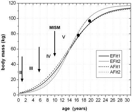 Figure 20