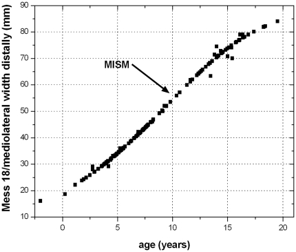 Figure 21