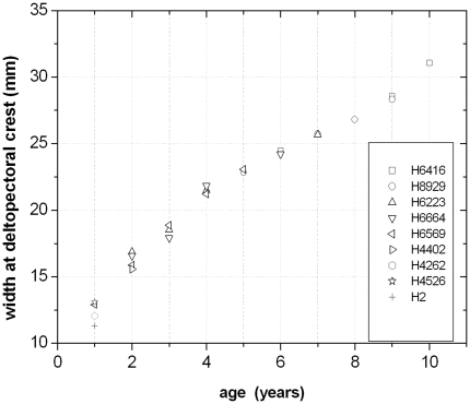 Figure 18