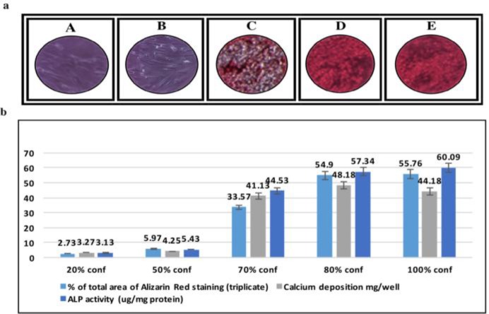 Figure 6: