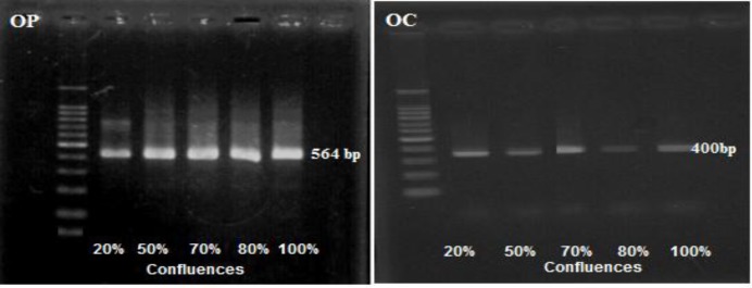 Figure 7: