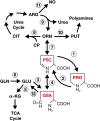 <b>FIG. 1.</b>