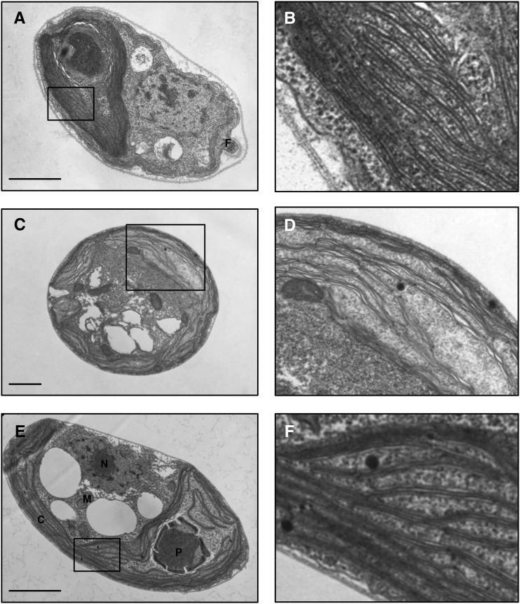 Figure 11.