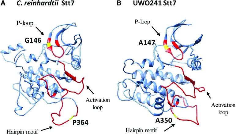 Figure 4.