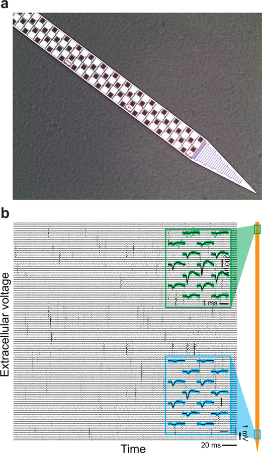 Figure 2.