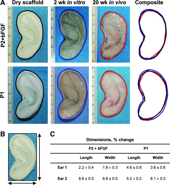 FIG. 6.