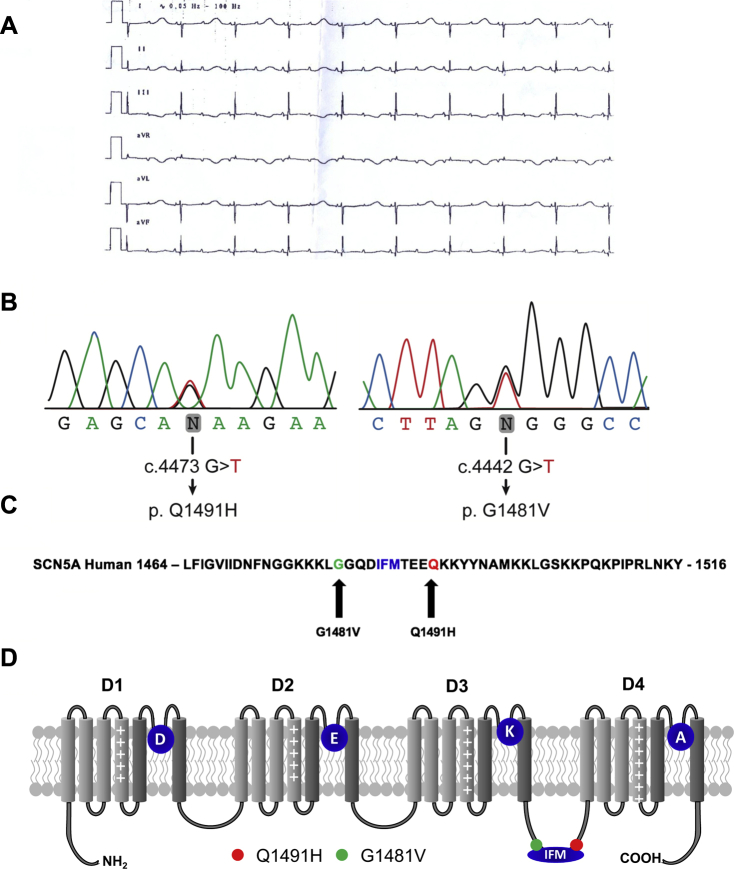 Figure 1