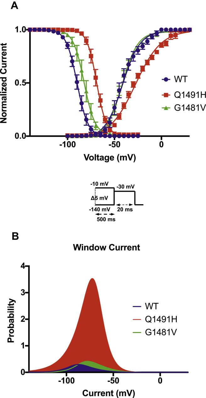 Figure 3