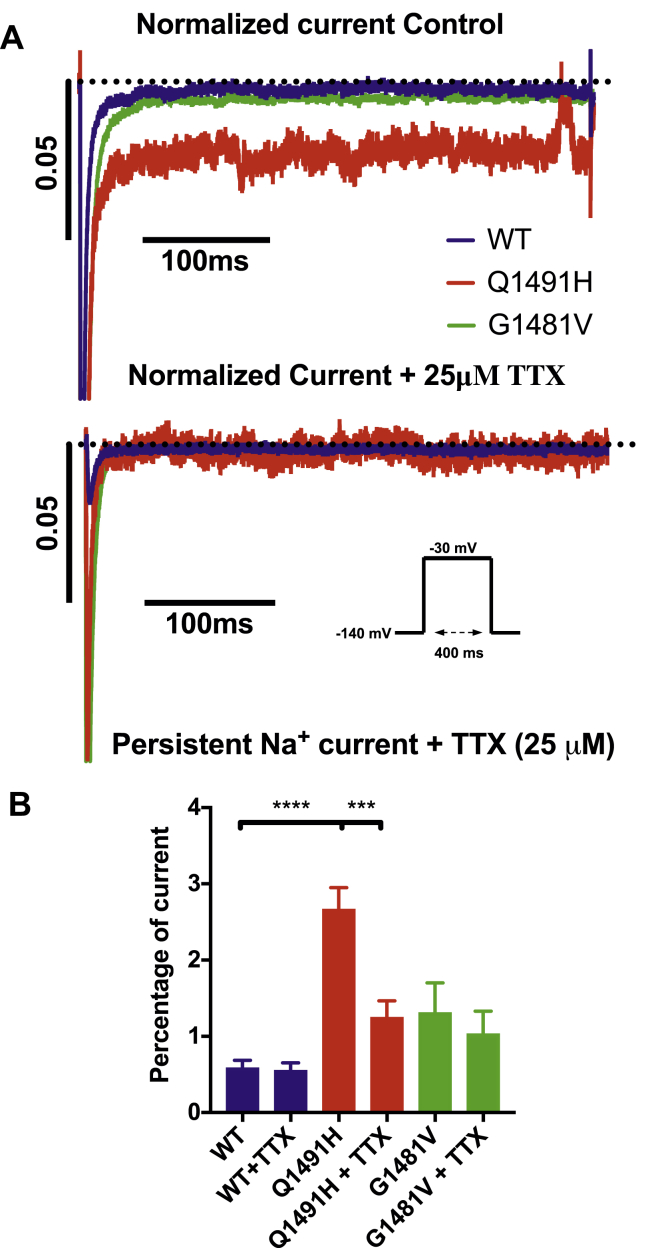 Figure 6