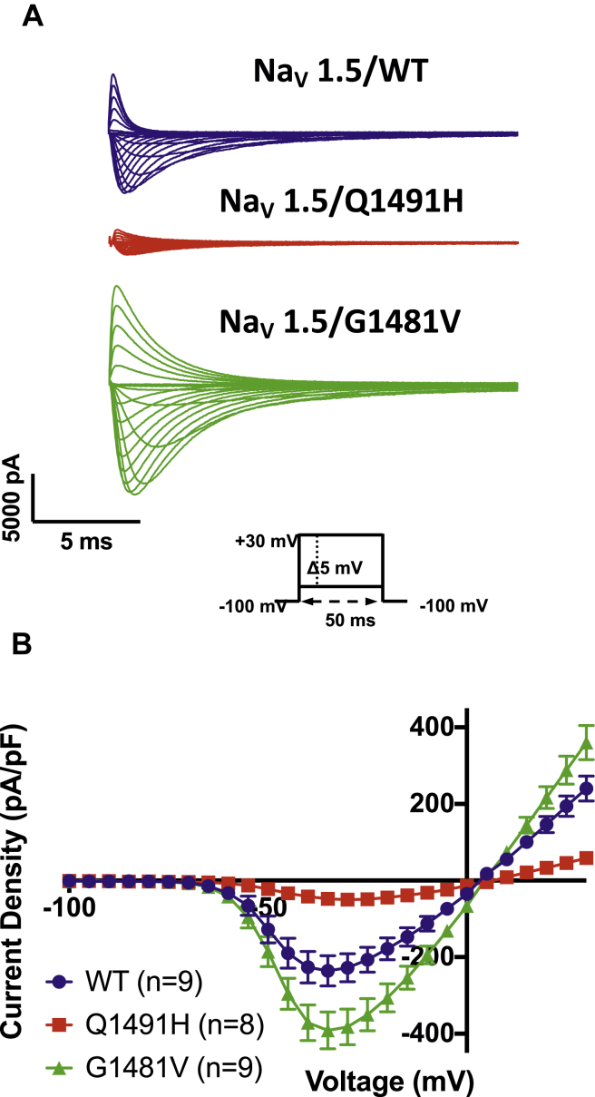 Figure 2