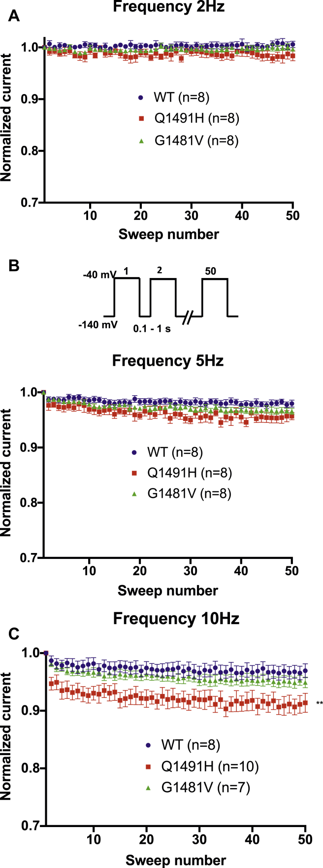 Figure 5