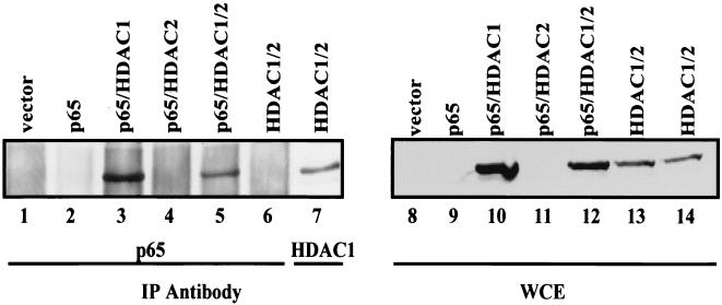 FIG. 5