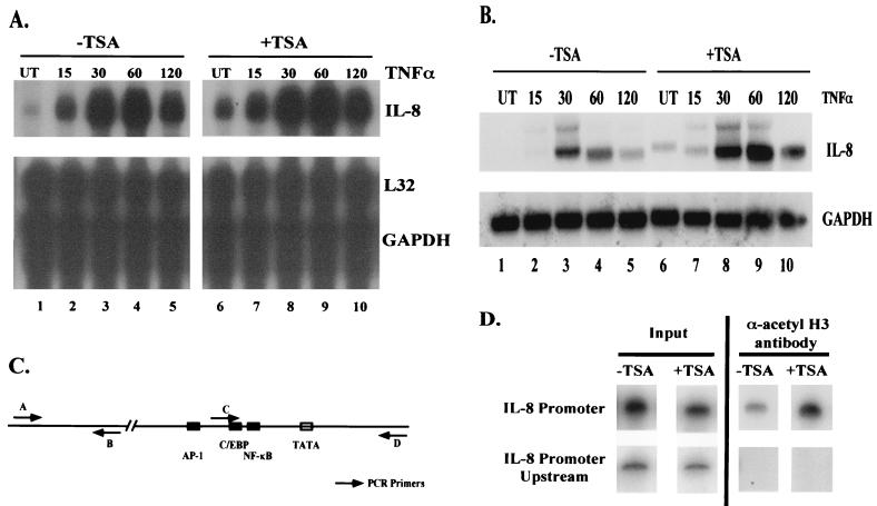 FIG. 8