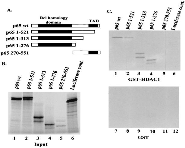 FIG. 7