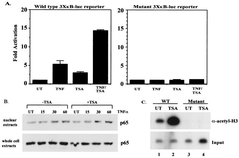 FIG. 1