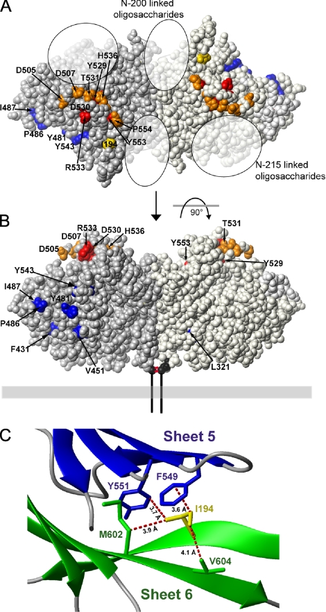 FIGURE 5.