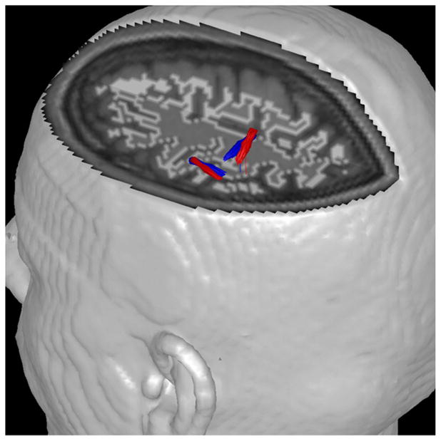 Fig. 7