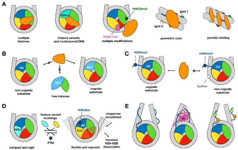 Figure 2.