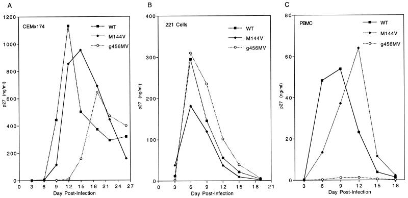 FIG. 6