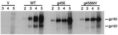 FIG. 7