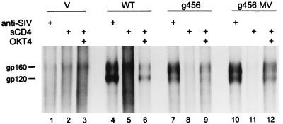 FIG. 8