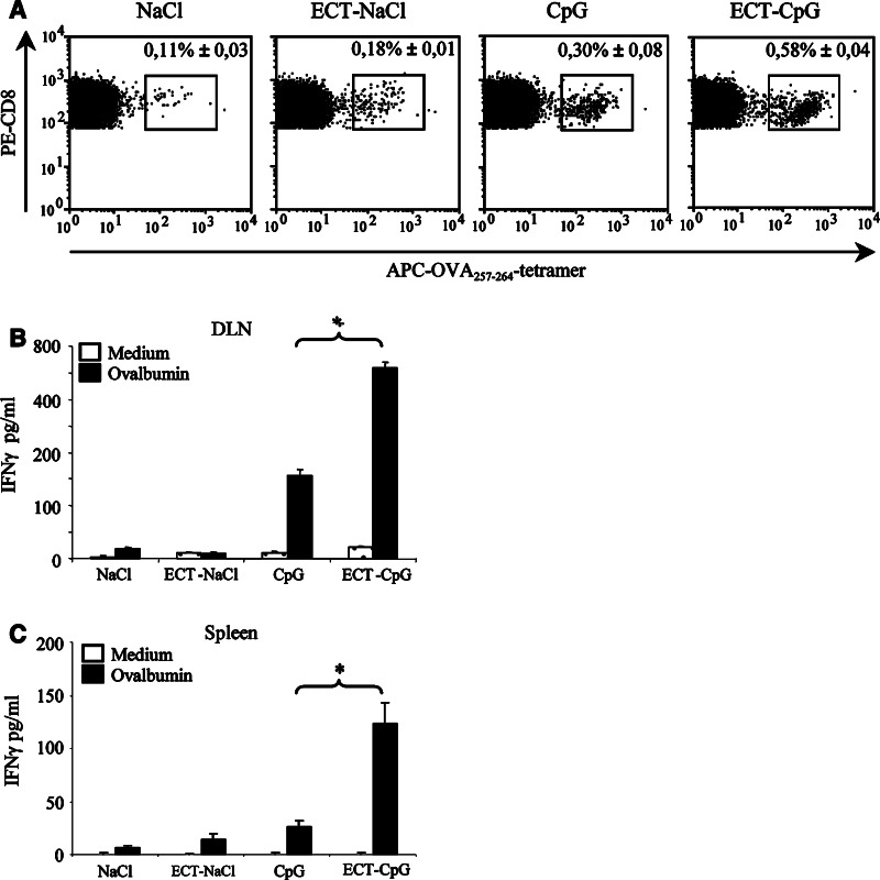 Fig. 6