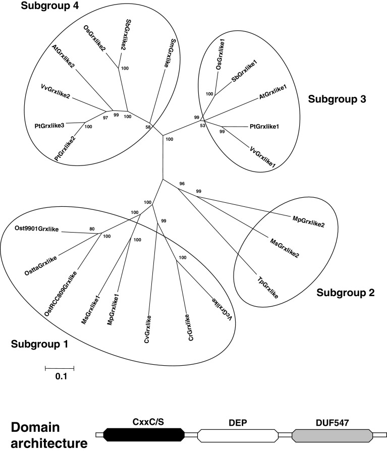 Fig. 6