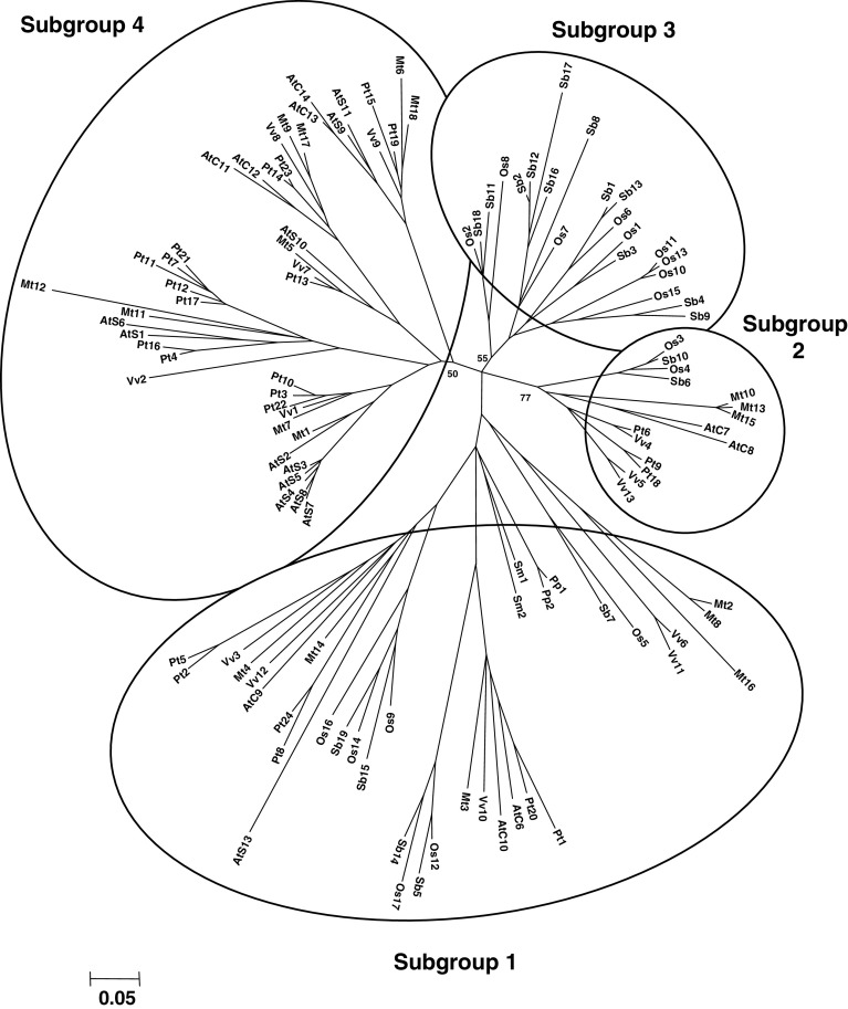 Fig. 5