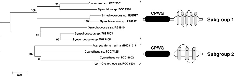 Fig. 7