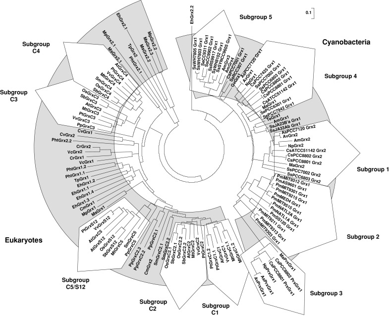 Fig. 2