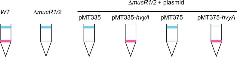 Figure 2—figure supplement 2.