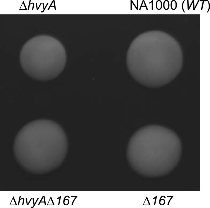 Figure 2—figure supplement 5.