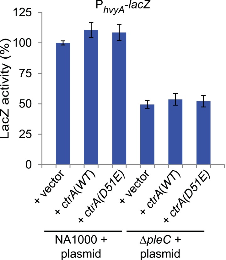 Figure 7—figure supplement 2.