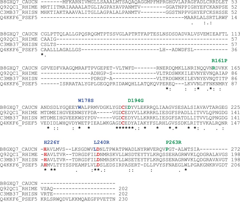 Figure 3—figure supplement 1.