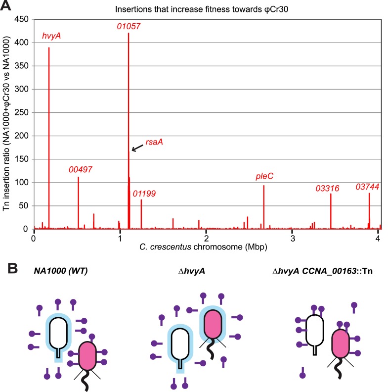 Figure 10.