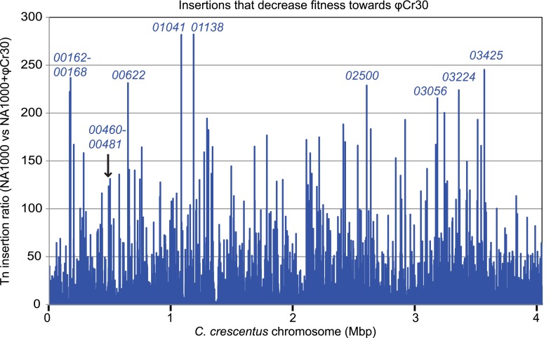 Figure 10—figure supplement 1.