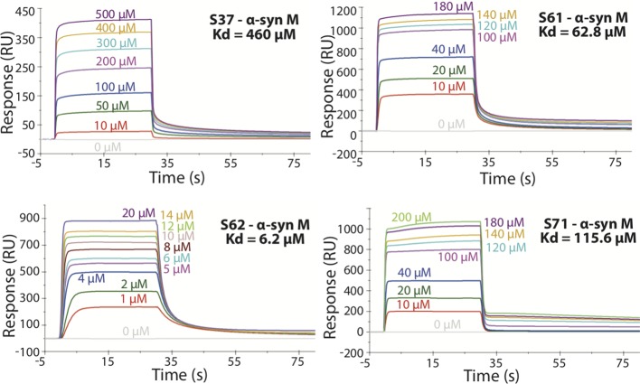 Figure 2—figure supplement 2.