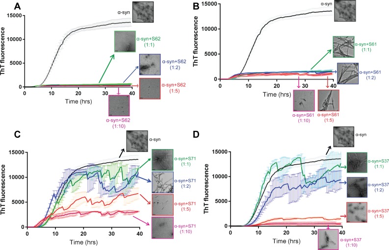 Figure 3—figure supplement 2.