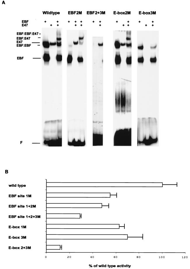 FIG. 7