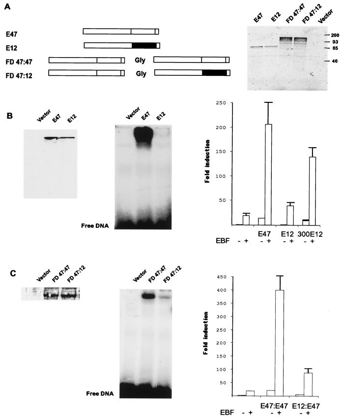 FIG. 1