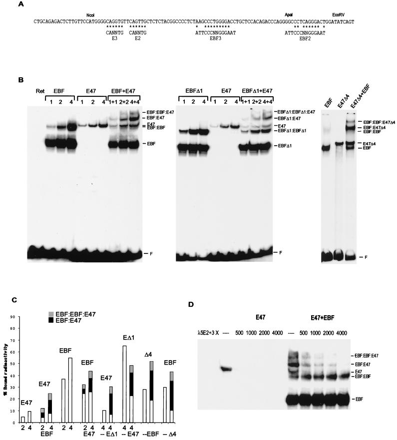 FIG. 6