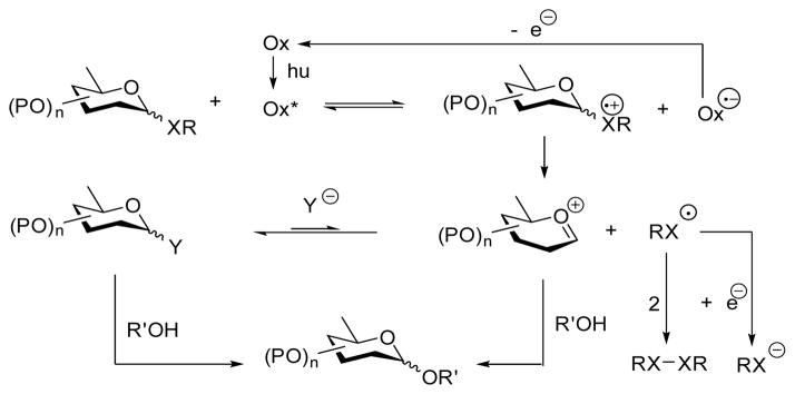 Scheme 1