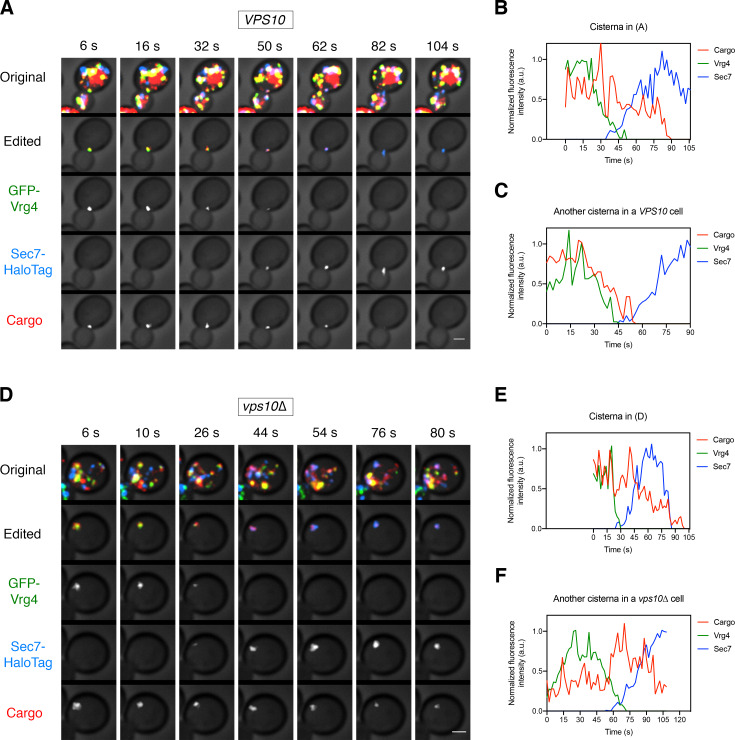 Figure 4—figure supplement 1.