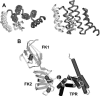 Fig 1.