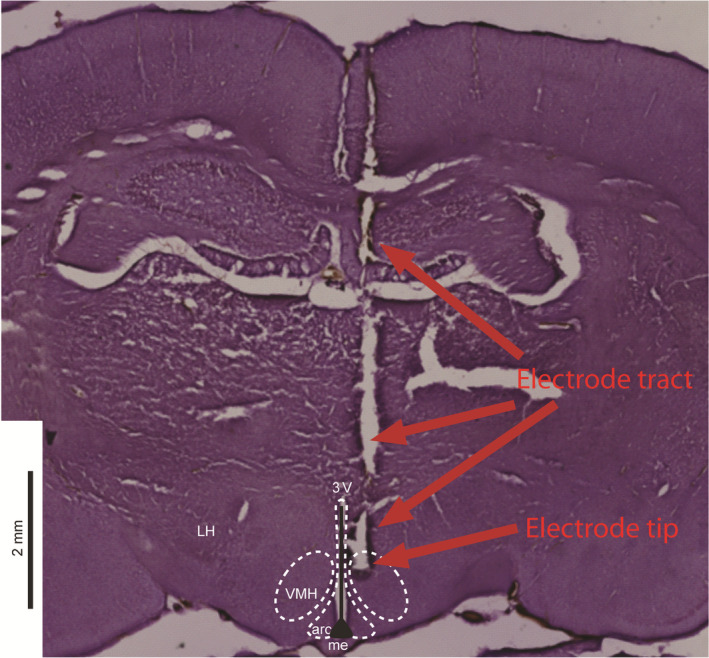 FIGURE 9