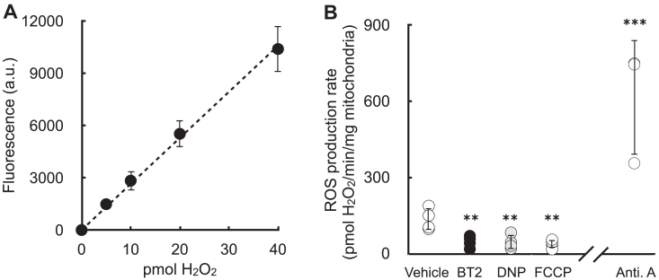 Figure 6