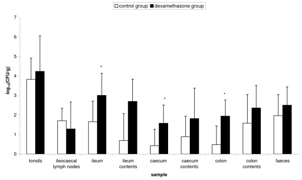 Stress induced Salmonella Typhimurium recrudescence in pigs coincides ...