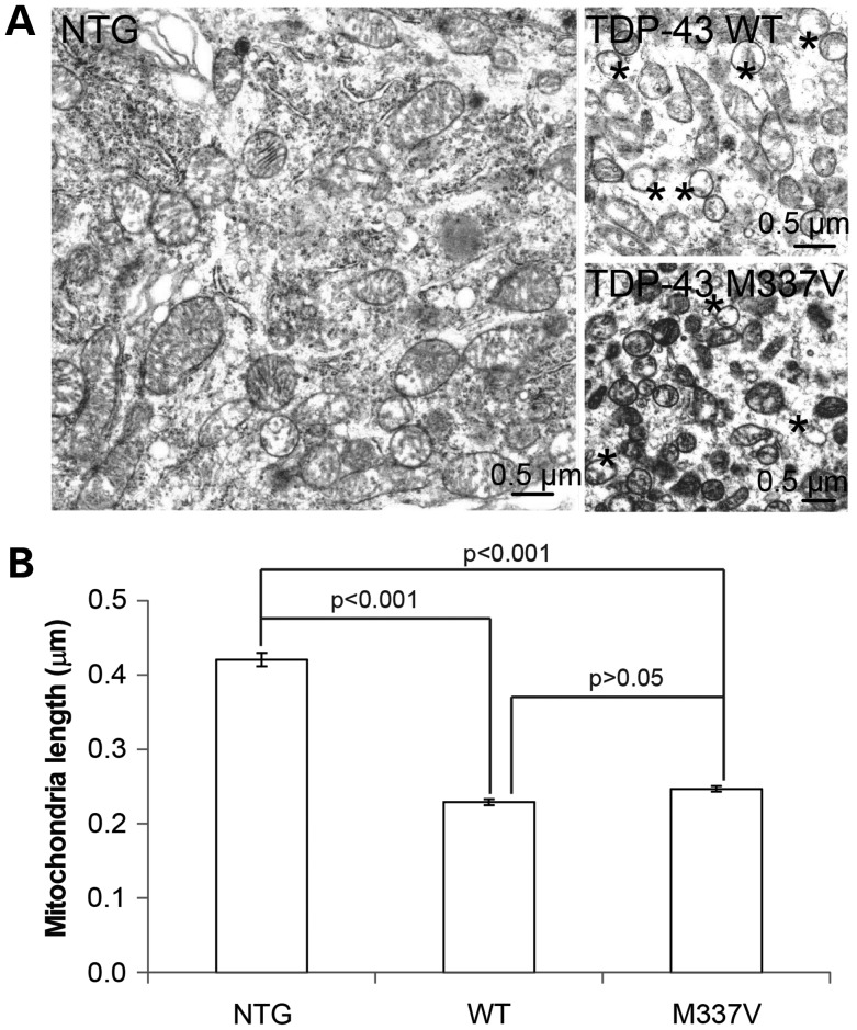 Figure 2.