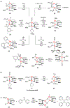 Scheme 6